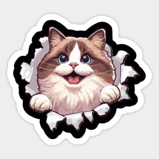 Funny Cut Out Cat Selfie Sticker